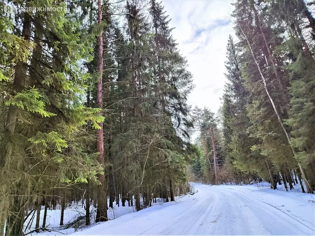 Дом в Дзержинский район, городское поселение Кондрово, ст Дружба (20 .,  Купить дом в Дзержинском районе, ID объекта - 50011699148