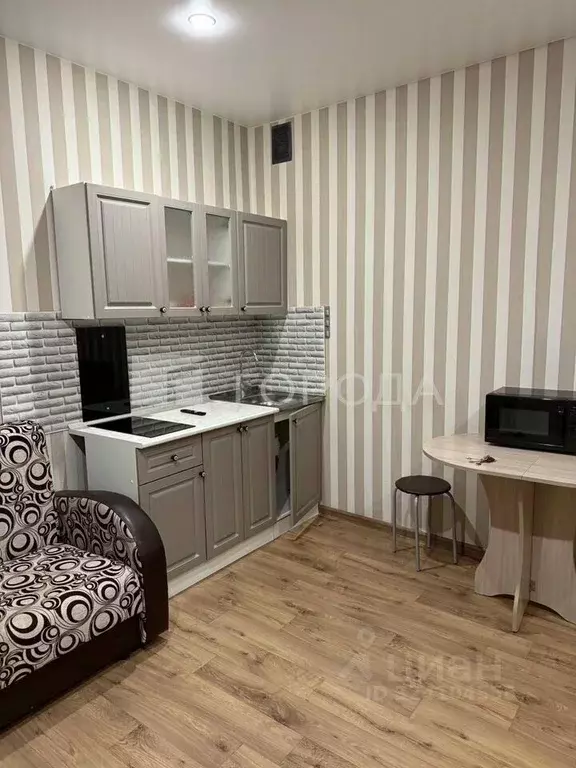 Студия Новосибирская область, Новосибирск ул. Михаила Кулагина, 31 ... - Фото 1