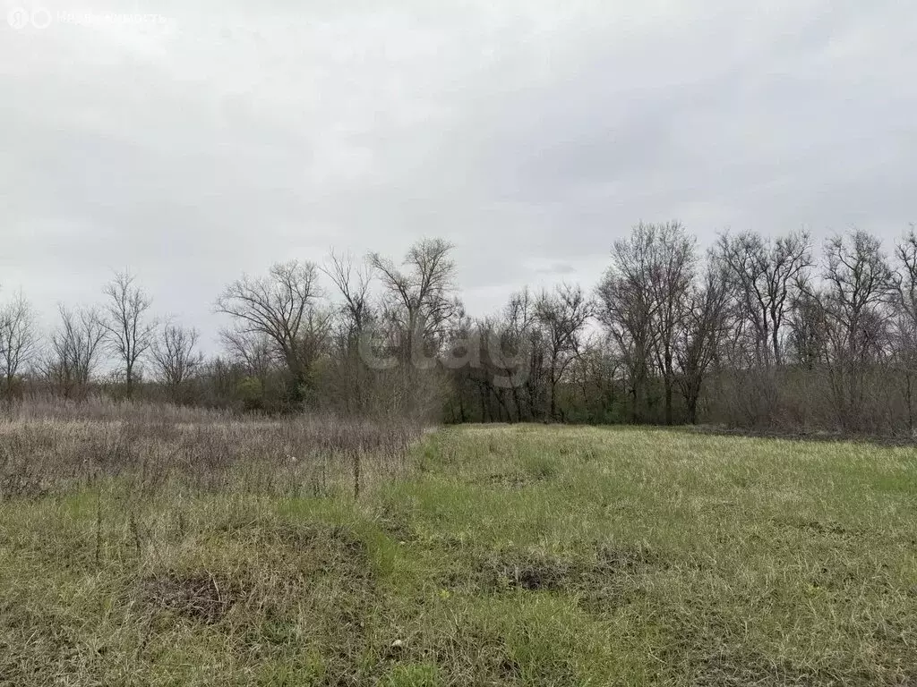 Участок в село Никольское, СТ Бродок (7 м) - Фото 2