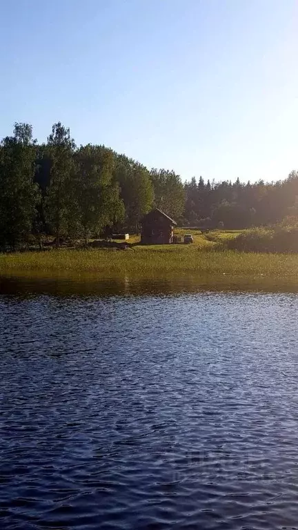 Участок в Карелия, Лахденпохский муниципальный округ, пос. Лумиваара  ... - Фото 1