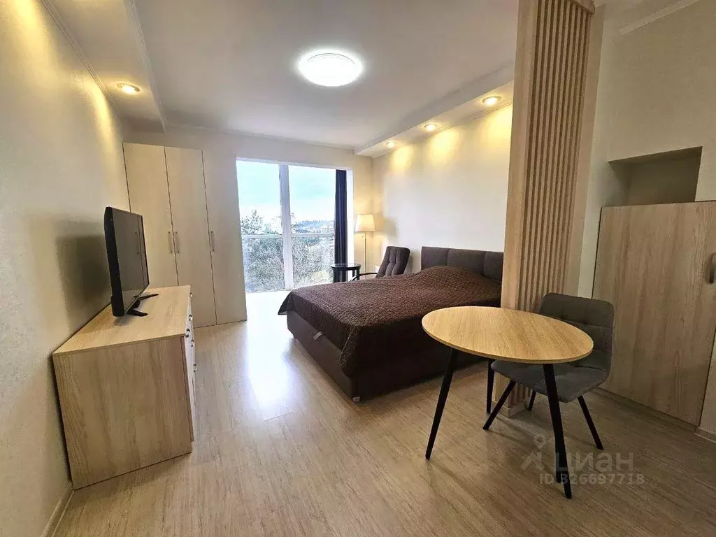 Студия Краснодарский край, Сочи Центральный мкр, ул. Войкова, 27 (25.9 ... - Фото 2