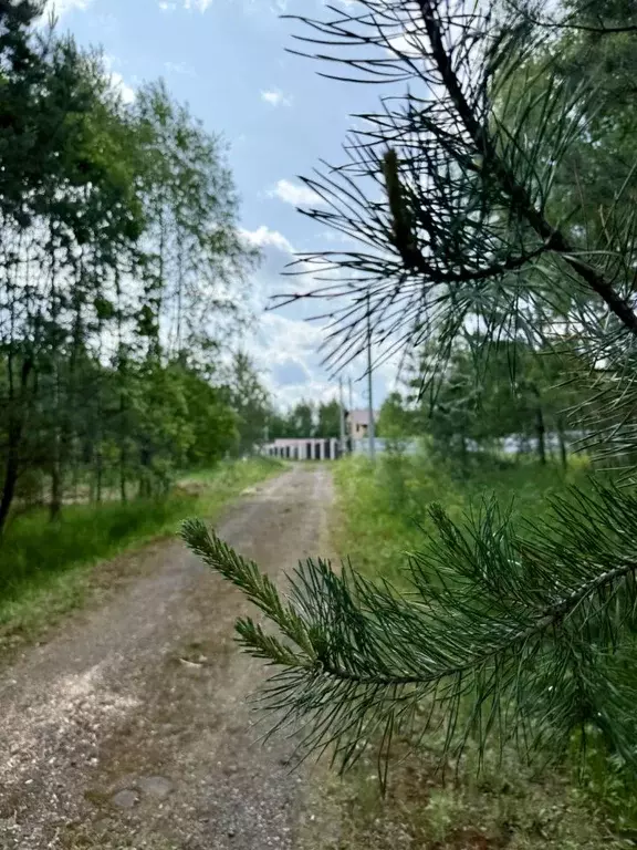 Участок в Московская область, Ступино городской округ, д. Кравцово, ... - Фото 0