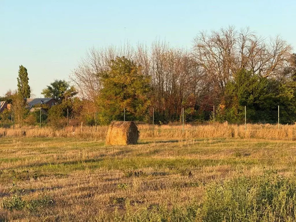 Участок в Ростовская область, Аксайский район, Ольгинское с/пос, ... - Фото 1