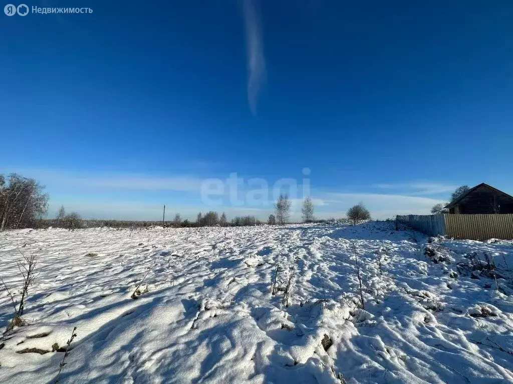 Участок в муниципальное образование Новосельское, село Великово (18.9 ... - Фото 2