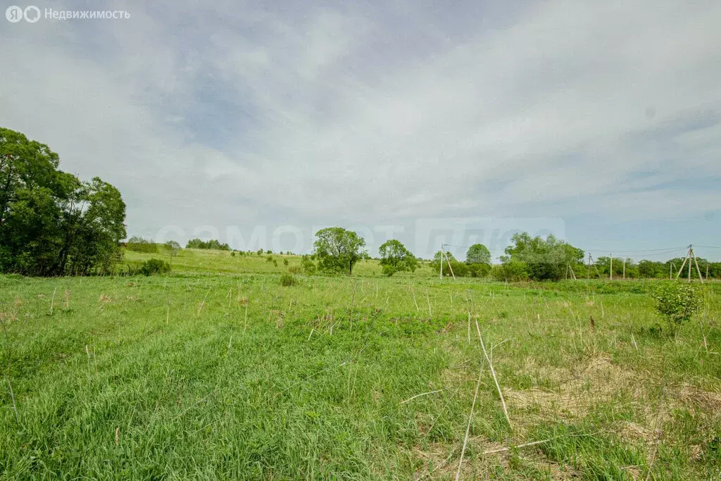 Участок в Наро-Фоминский городской округ, деревня Кузьминское (15 м) - Фото 1