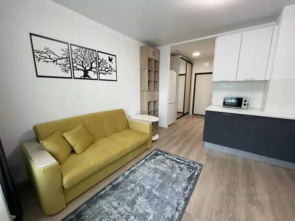 Студия Московская область, Домодедово городской округ, с. Ям ул. ... - Фото 1