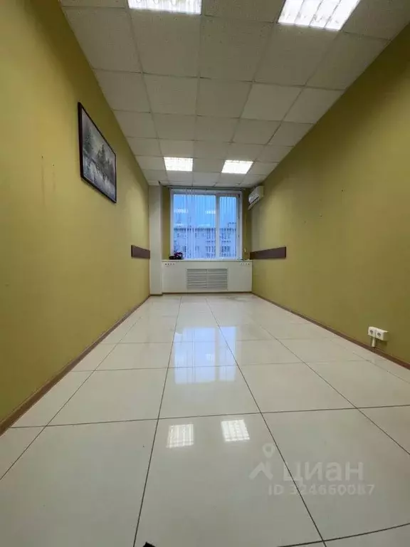 Офис в Воронежская область, Воронеж Никитинская ул., 42 (18 м) - Фото 1