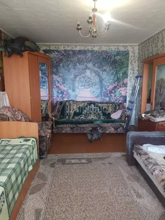 1-к кв. Курганская область, Курган ул. Некрасова, 17 (38.1 м) - Фото 0