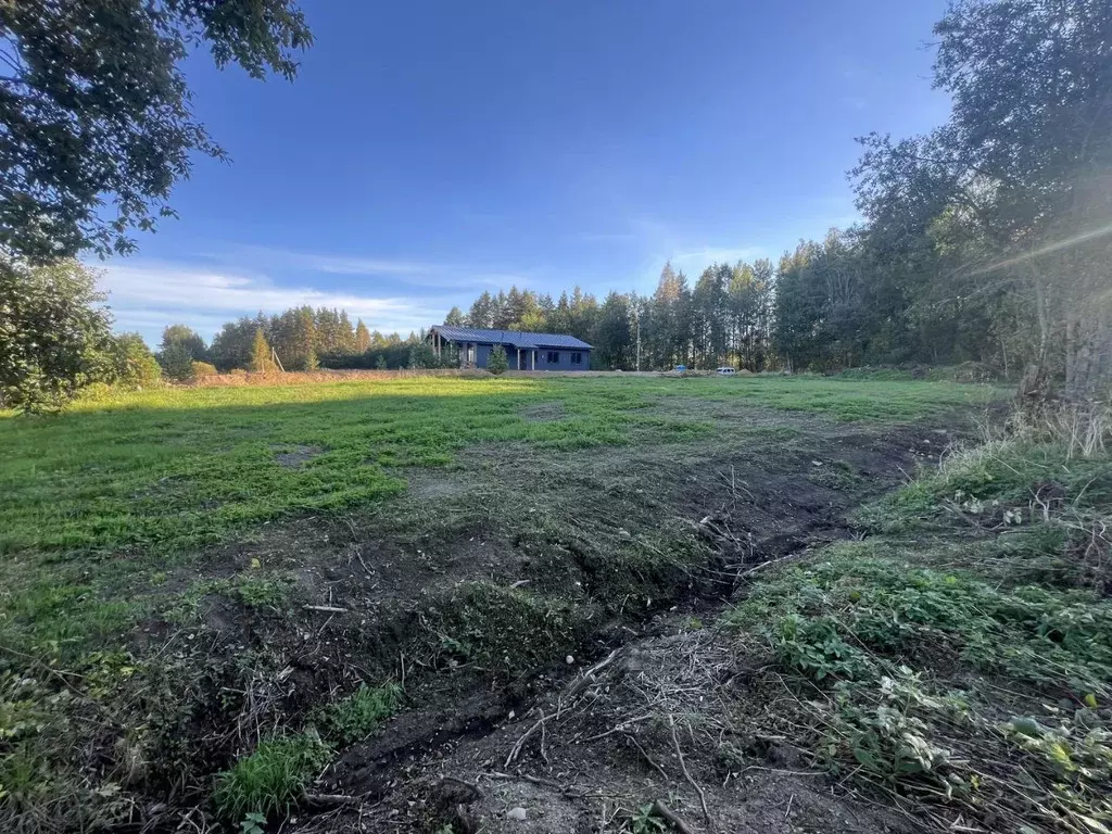 Участок в Ленинградская область, Приозерский район, Красноозерное ... - Фото 0