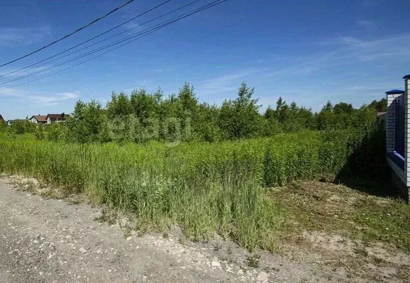 Участок в Нижегородская область, Нижний Новгород Факел СНТ, 240А (5.4 ... - Фото 1