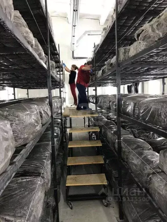 Склад в Курская область, Железногорский район, Разветьевский ... - Фото 1