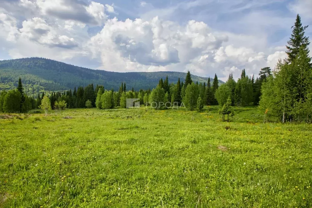Участок в Кемеровская область, Таштагол ул. Ушакова (15.0 сот.) - Фото 0