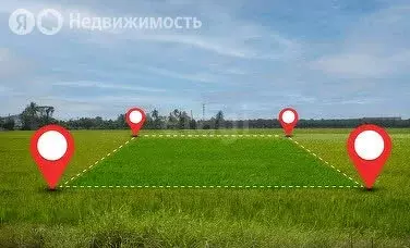 Участок в Ярославская область, рабочий посёлок Некрасовское (12 м) - Фото 1