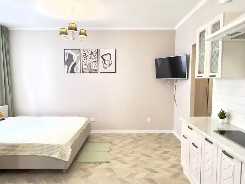 Студия Санкт-Петербург ул. Парфеновская, 11к1 (27.8 м) - Фото 1