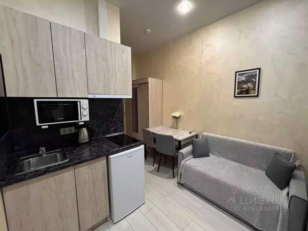 Студия Краснодарский край, Сочи ул. Чекменева, 18 (17.0 м) - Фото 2