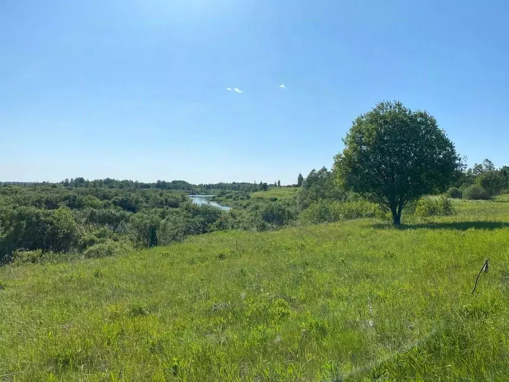 Участок в Псковская область, Пушкиногорье городское поселение, д. ... - Фото 1