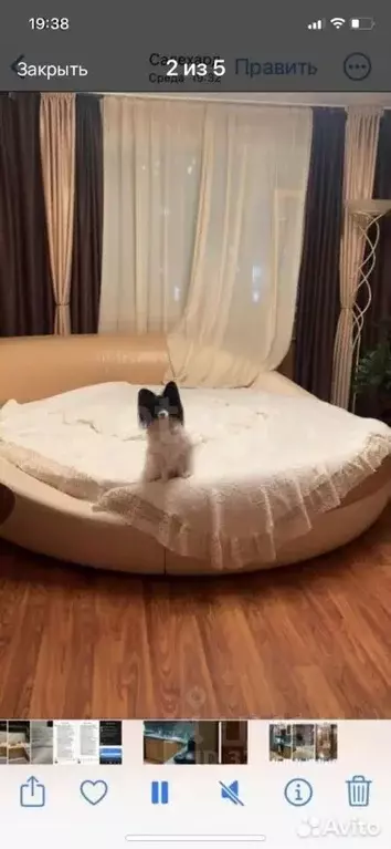 3-к кв. Ямало-Ненецкий АО, Салехард ул. Манчинского, 23 (81.1 м) - Фото 1