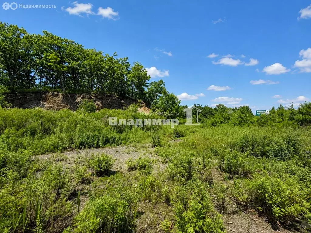 Участок в Находка, Канадская улица (8.79 м) - Фото 1