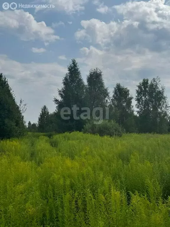 Участок в Нижегородская область, Городецкий муниципальный округ, ... - Фото 1