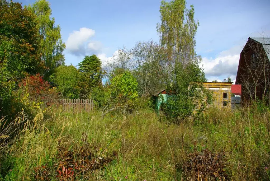 Участок в Московская область, Рузский муниципальный округ, Долматово ... - Фото 1
