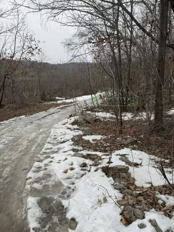 Участок в Приморский край, Артем ул. 1-я Рабочая (11.83 сот.) - Фото 1