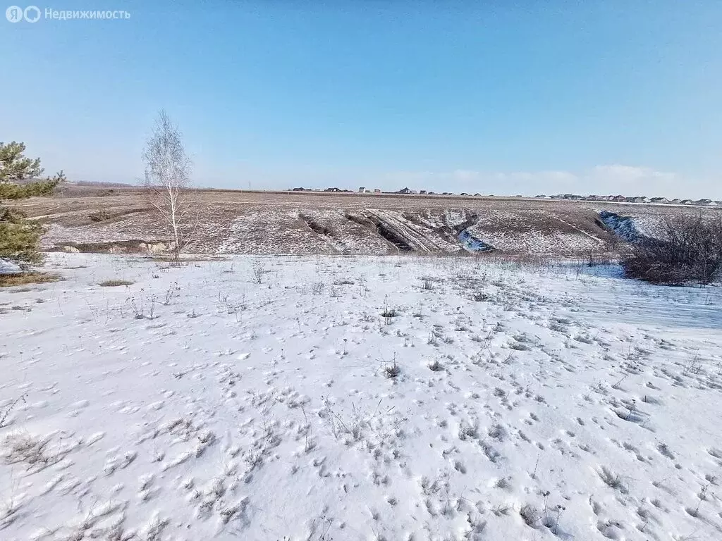 Участок в Белгородский район, Новосадовское сельское поселение, село ... - Фото 2