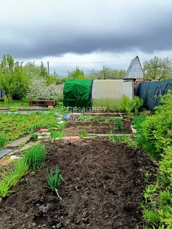 Участок в Челябинская область, Челябинск  (4.0 сот.) - Фото 2