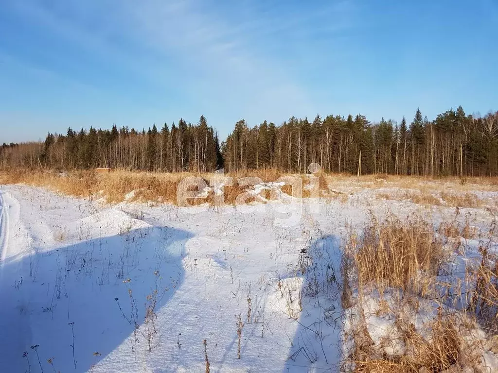 Участок в Свердловская область, Горноуральский городской округ, с. ... - Фото 0