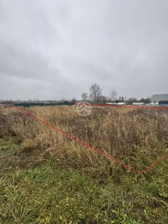 Участок в Московская область, Клин городской округ, д. Бортницы  (20.0 ... - Фото 2