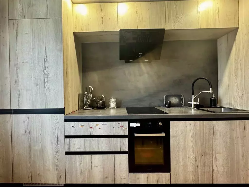 1-к кв. Санкт-Петербург, Санкт-Петербург, Пушкин Гусарская ул., 8к5 ... - Фото 1