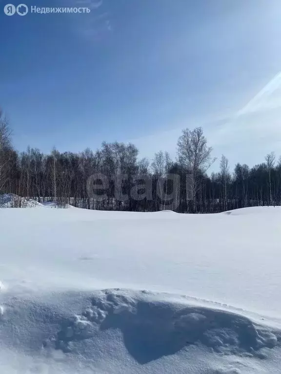 Участок в Каменский сельсовет, микрорайон Гармония, 3-я улица (10 м) - Фото 1