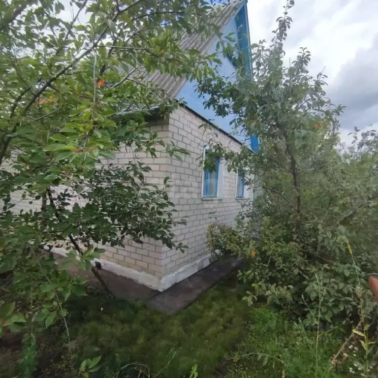 Дом в Воронежская область, Воронеж Березка СНТ, 7-я линия, 301 (31 м) - Фото 0