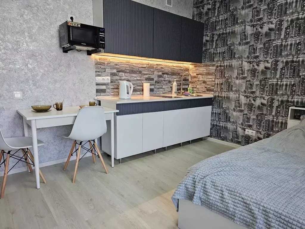 Студия Санкт-Петербург наб. Реки Каменки, 13к3 (25.0 м) - Фото 1