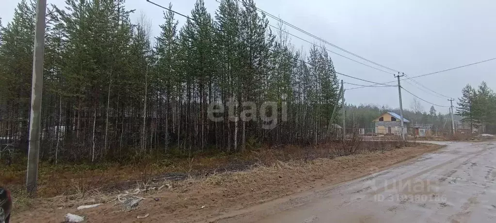 Участок в Коми, Сыктывкар городской округ, Верхняя Максаковка пгт ул. ... - Фото 1