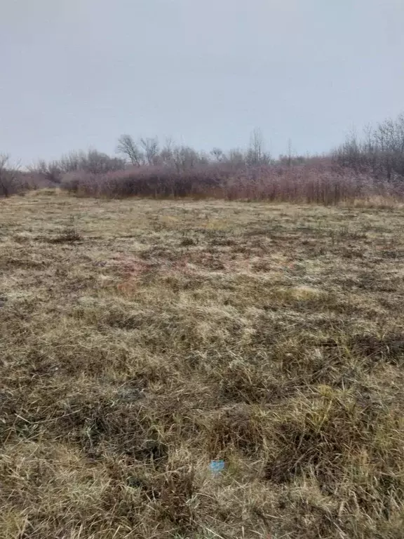 Участок в Ростовская область, Аксайский район, Грушевское с/пос, ... - Фото 1