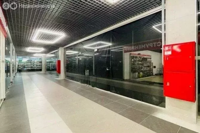 Торговая площадь (37 м) - Фото 1