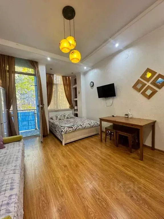 1-к кв. Краснодарский край, Сочи ул. Просвещения, 118/1 (27.0 м) - Фото 2