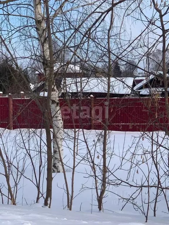 Участок в Нижегородская область, Богородский район, с. Дуденево ... - Фото 0