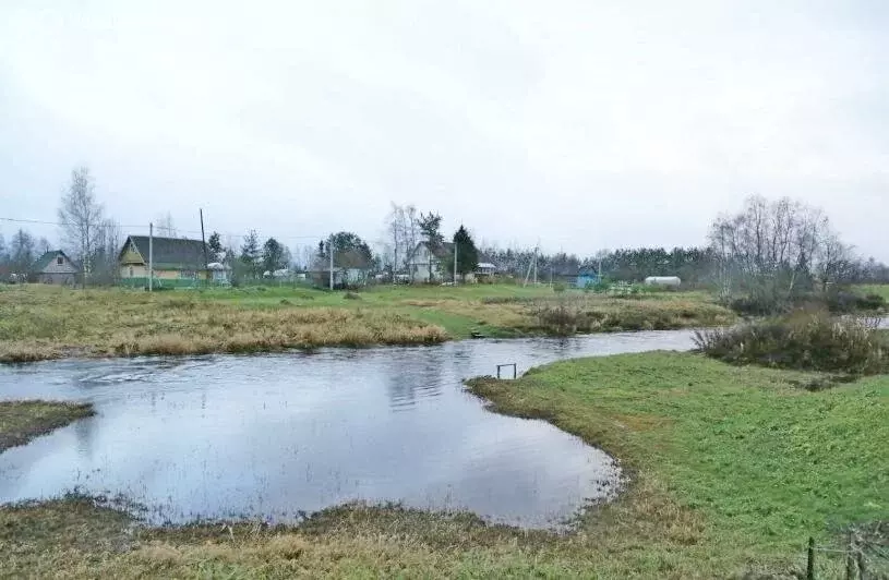 Участок в Ломоносовский район, Лебяженское городское поселение, ... - Фото 2