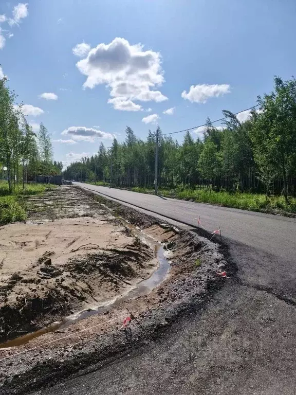 Участок в Санкт-Петербург, Санкт-Петербург, Павловск Павлов Скай кп,  ... - Фото 1