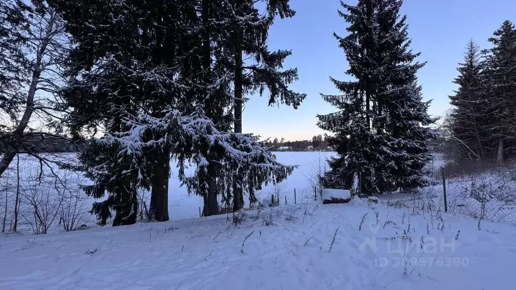 Дом в Ленинградская область, Выборгский район, Рощинское городское ... - Фото 1