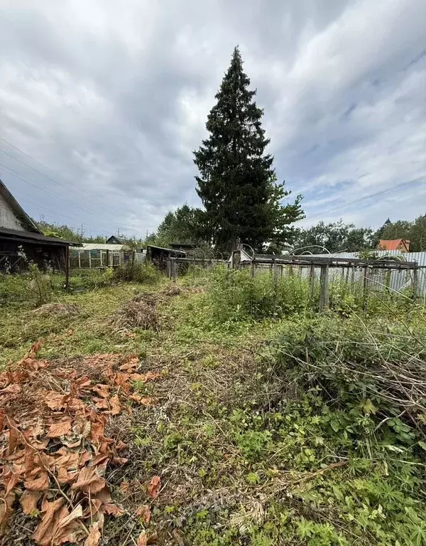 Участок в Московская область, Щелково городской округ, Березка СНТ ул. ... - Фото 1