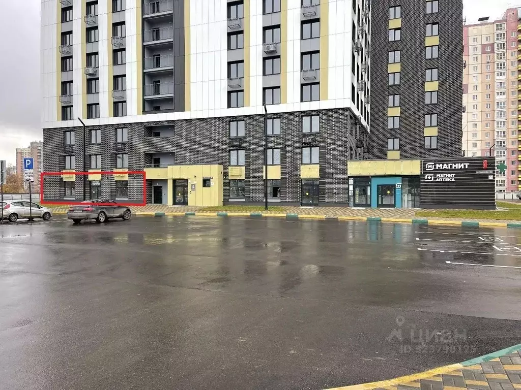 Торговая площадь в Нижегородская область, Нижний Новгород ул. ... - Фото 1