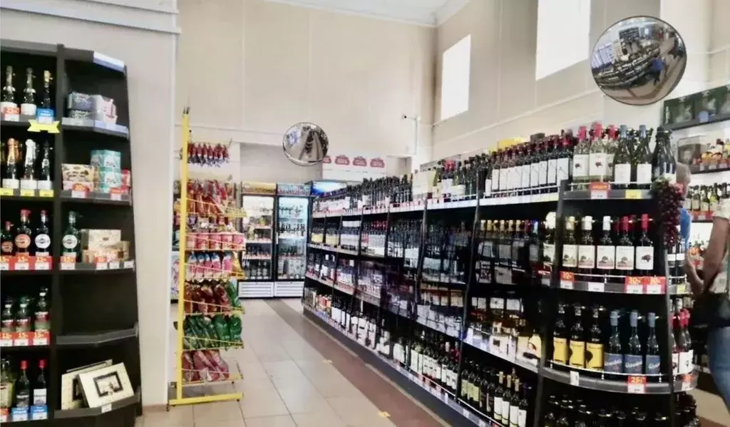 Помещение свободного назначения в Ленинградская область, Ломоносовский ... - Фото 2