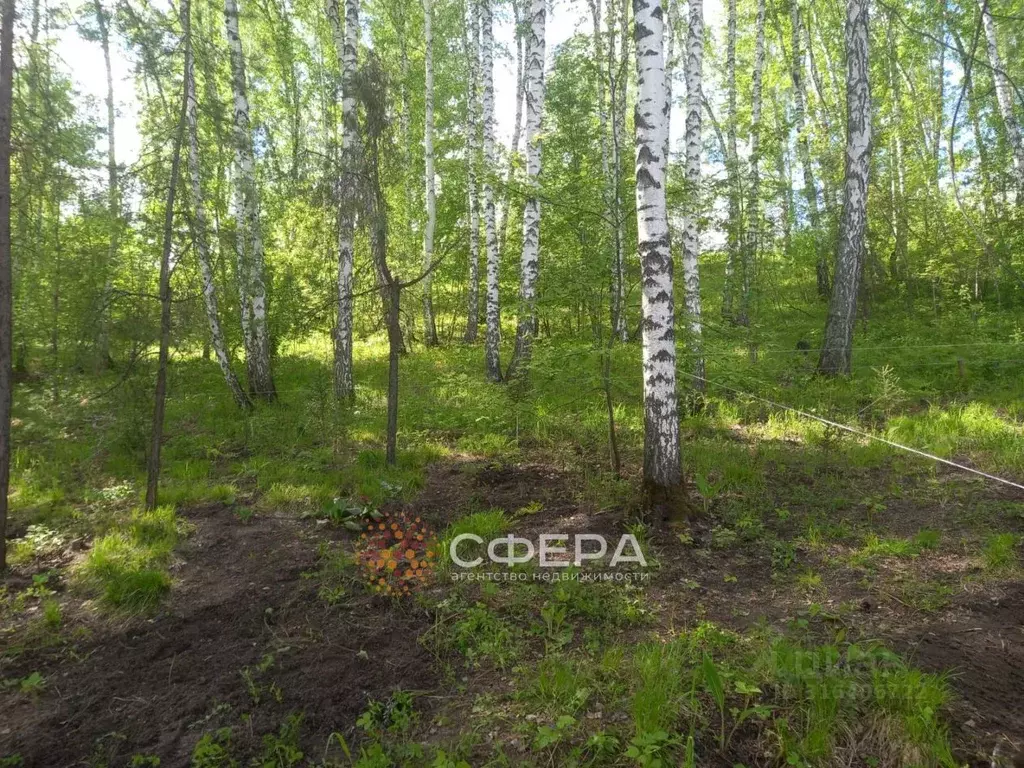 Участок в Новосибирская область, с. Новолуговое ул. Уральская (19.0 ... - Фото 0