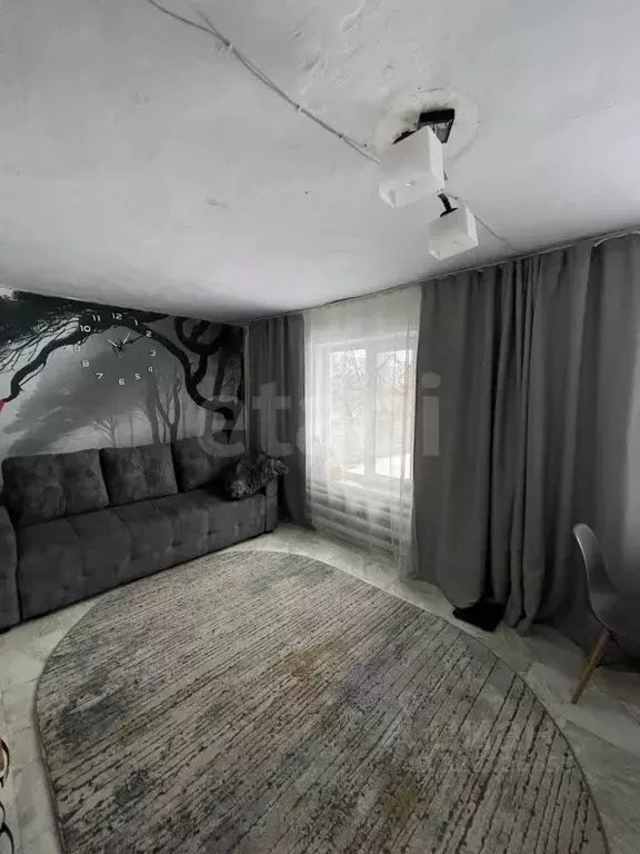 Дом в Алтай, Майминский район, с. Кызыл-Озек Заречная ул., 18 (40 м) - Фото 1