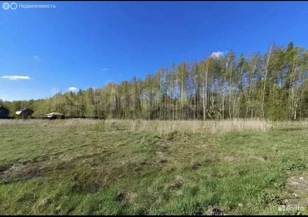 Участок в Богородский городской округ, территория Новое Борилово (10 ... - Фото 1