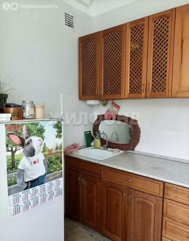 2-комнатная квартира: Новосибирск, Даурская улица, 4А (55 м) - Фото 1