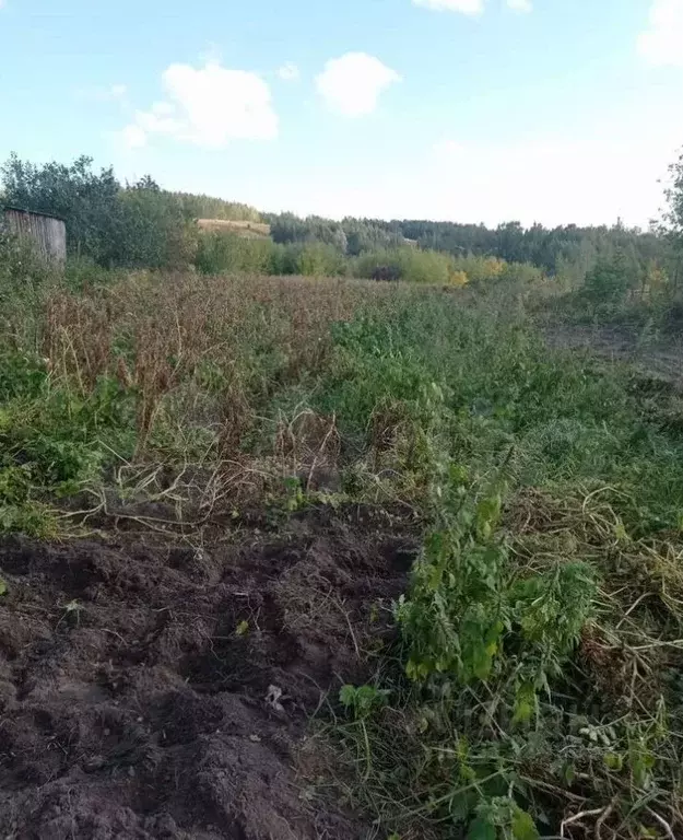 Участок в Нижегородская область, Кстовский муниципальный округ, д. ... - Фото 1