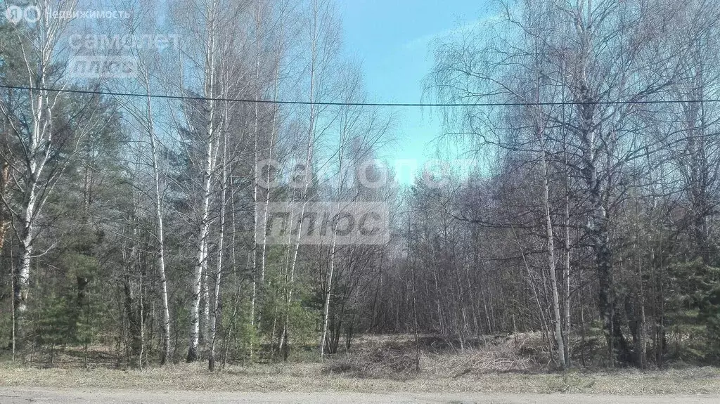 Участок в Ивановская область, Вичугский муниципальный округ, деревня ... - Фото 1